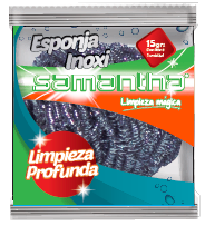 Esponja Inoxidable De 15 Grs.